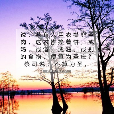 Picture 07 - 哈 该 书 2:12 CUVS - 说 ： 若 有 人 用 衣 襟 兜 圣 肉 ， - Bible Verse Picture