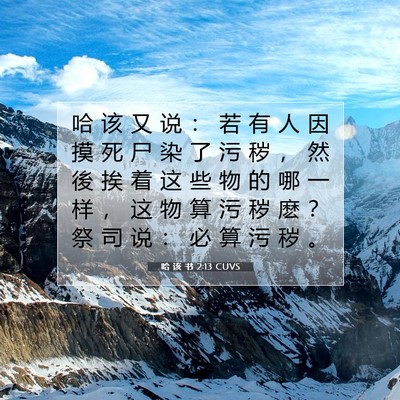 Picture 07 - 哈 该 书 2:13 CUVS - 哈 该 又 说 ： 若 有 人 因 摸 死 尸 - Bible Verse Picture