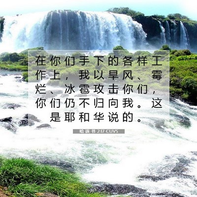 Picture 07 - 哈 该 书 2:17 CUVS - 在 你 们 手 下 的 各 样 工 作 上 ， - Bible Verse Picture