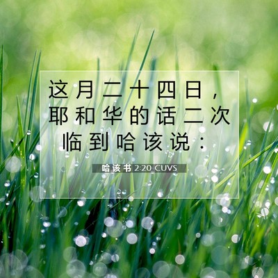 Picture 07 - 哈 该 书 2:20 CUVS - 这 月 二 十 四 日 ， 耶 和 华 的 话 - Bible Verse Picture
