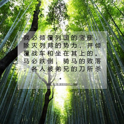 Picture 07 - 哈 该 书 2:22 CUVS - 我 必 倾 覆 列 国 的 宝 座 ， 除 灭 - Bible Verse Picture