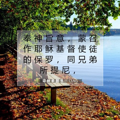 Picture 07 - 哥 林 多 前 书 1:1 CUVS - 奉 神 旨 意 ， 蒙 召 作 耶 稣 基 督 - Bible Verse Picture