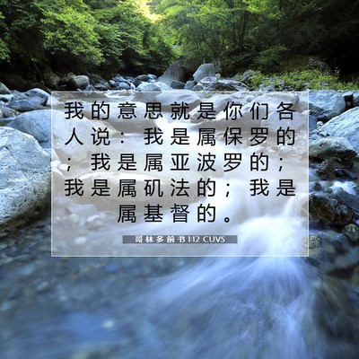 Picture 07 - 哥 林 多 前 书 1:12 CUVS - 我 的 意 思 就 是 你 们 各 人 说 ： - Bible Verse Picture