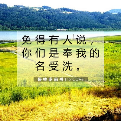 Picture 07 - 哥 林 多 前 书 1:15 CUVS - 免 得 有 人 说 ， 你 们 是 奉 我 的 - Bible Verse Picture