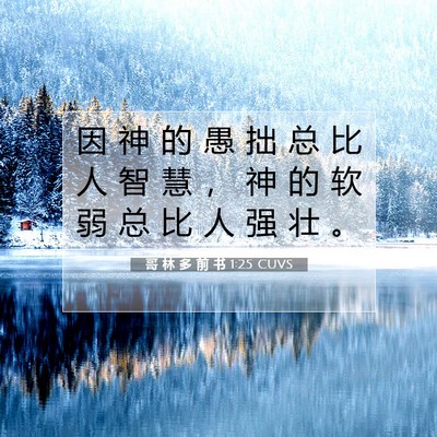 Picture 07 - 哥 林 多 前 书 1:25 CUVS - 因 神 的 愚 拙 总 比 人 智 慧 ， 神 - Bible Verse Picture