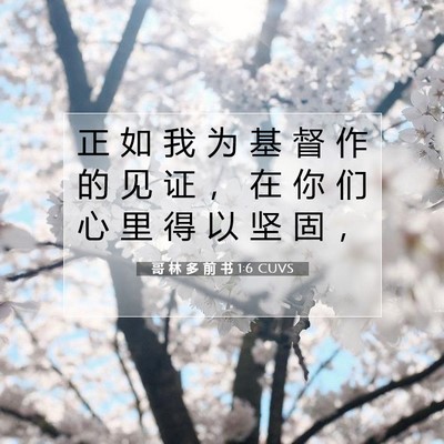 Picture 07 - 哥 林 多 前 书 1:6 CUVS - 正 如 我 为 基 督 作 的 见 证 ， 在 - Bible Verse Picture