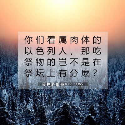 Picture 07 - 哥 林 多 前 书 10:18 CUVS - 你 们 看 属 肉 体 的 以 色 列 人 ， - Bible Verse Picture