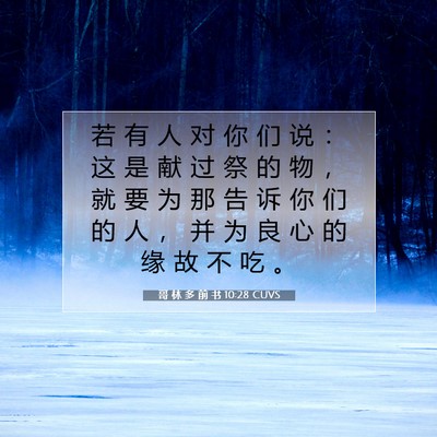 Picture 07 - 哥 林 多 前 书 10:28 CUVS - 若 有 人 对 你 们 说 ： 这 是 献 过 - Bible Verse Picture