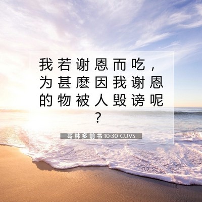 Picture 07 - 哥 林 多 前 书 10:30 CUVS - 我 若 谢 恩 而 吃 ， 为 甚 麽 因 我 - Bible Verse Picture
