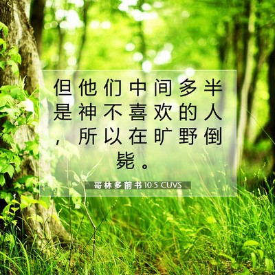 Picture 07 - 哥 林 多 前 书 10:5 CUVS - 但 他 们 中 间 多 半 是 神 不 喜 欢 - Bible Verse Picture