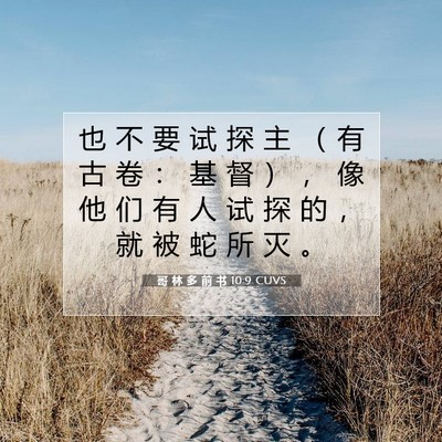 Picture 07 - 哥 林 多 前 书 10:9 CUVS - 也 不 要 试 探 主 （ 有 古 卷 ： 基 - Bible Verse Picture