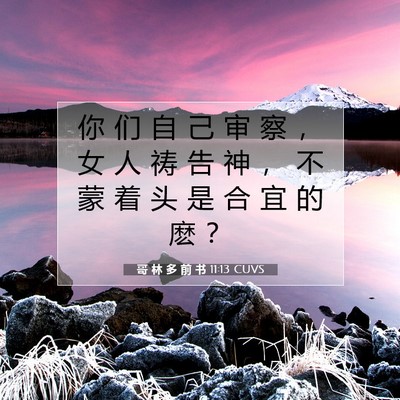 Picture 07 - 哥 林 多 前 书 11:13 CUVS - 你 们 自 己 审 察 ， 女 人 祷 告 神 - Bible Verse Picture