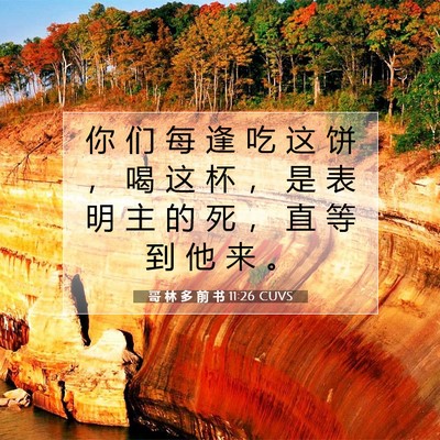 Picture 07 - 哥 林 多 前 书 11:26 CUVS - 你 们 每 逢 吃 这 饼 ， 喝 这 杯 ， - Bible Verse Picture