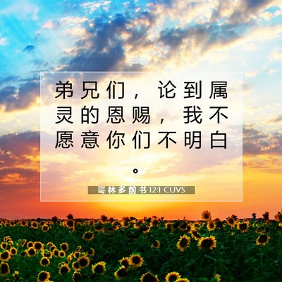 Picture 07 - 哥 林 多 前 书 12:1 CUVS - 弟 兄 们 ， 论 到 属 灵 的 恩 赐 ， - Bible Verse Picture