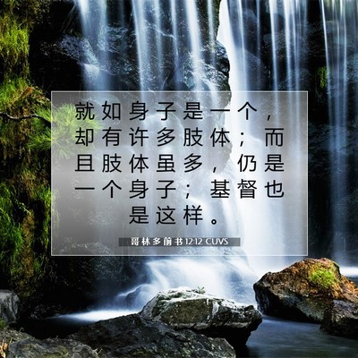 Picture 07 - 哥 林 多 前 书 12:12 CUVS - 就 如 身 子 是 一 个 ， 却 有 许 多 - Bible Verse Picture