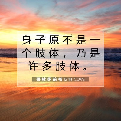 Picture 07 - 哥 林 多 前 书 12:14 CUVS - 身 子 原 不 是 一 个 肢 体 ， 乃 是 - Bible Verse Picture