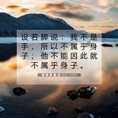 Picture 07 - 哥 林 多 前 书 12:15 CUVS - 设 若 脚 说 ： 我 不 是 手 ， 所 以 - Bible Verse Picture