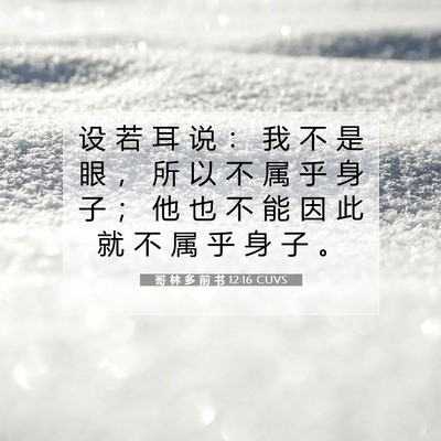 Picture 07 - 哥 林 多 前 书 12:16 CUVS - 设 若 耳 说 ： 我 不 是 眼 ， 所 以 - Bible Verse Picture