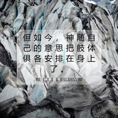 Picture 07 - 哥 林 多 前 书 12:18 CUVS - 但 如 今 ， 神 随 自 己 的 意 思 把 - Bible Verse Picture