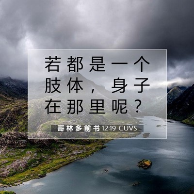 Picture 07 - 哥 林 多 前 书 12:19 CUVS - 若 都 是 一 个 肢 体 ， 身 子 在 那 - Bible Verse Picture