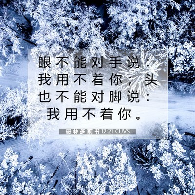 Picture 07 - 哥 林 多 前 书 12:21 CUVS - 眼 不 能 对 手 说 ： 我 用 不 着 你 - Bible Verse Picture