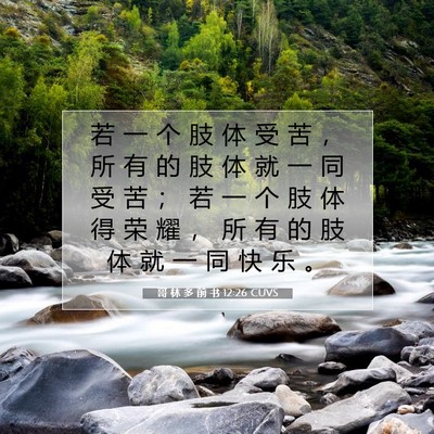Picture 07 - 哥 林 多 前 书 12:26 CUVS - 若 一 个 肢 体 受 苦 ， 所 有 的 肢 - Bible Verse Picture