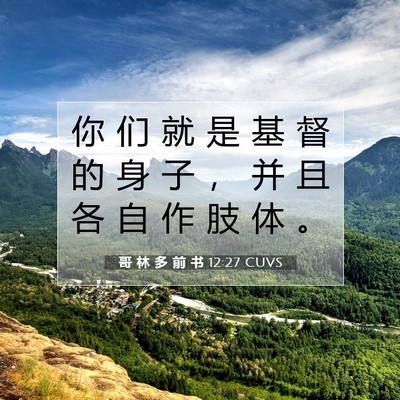 Picture 07 - 哥 林 多 前 书 12:27 CUVS - 你 们 就 是 基 督 的 身 子 ， 并 且 - Bible Verse Picture