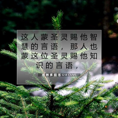 Picture 07 - 哥 林 多 前 书 12:8 CUVS - 这 人 蒙 圣 灵 赐 他 智 慧 的 言 语 - Bible Verse Picture