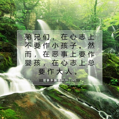 Picture 07 - 哥 林 多 前 书 14:20 CUVS - 弟 兄 们 ， 在 心 志 上 不 要 作 小 - Bible Verse Picture