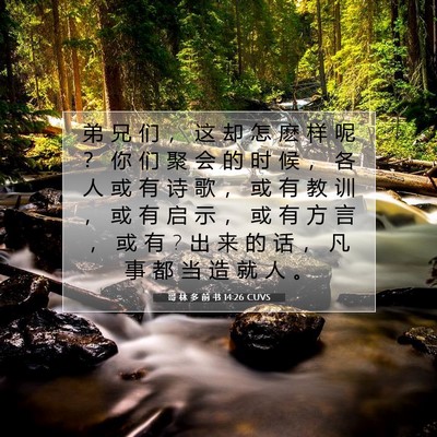 Picture 07 - 哥 林 多 前 书 14:26 CUVS - 弟 兄 们 ， 这 却 怎 麽 样 呢 ？ 你 - Bible Verse Picture