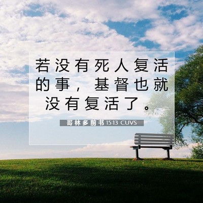 Picture 07 - 哥 林 多 前 书 15:13 CUVS - 若 没 有 死 人 复 活 的 事 ， 基 督 - Bible Verse Picture
