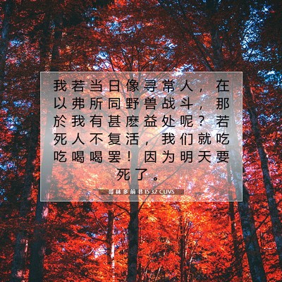 Picture 07 - 哥 林 多 前 书 15:32 CUVS - 我 若 当 日 像 寻 常 人 ， 在 以 弗 - Bible Verse Picture