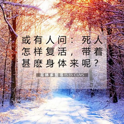 Picture 07 - 哥 林 多 前 书 15:35 CUVS - 或 有 人 问 ： 死 人 怎 样 复 活 ， - Bible Verse Picture