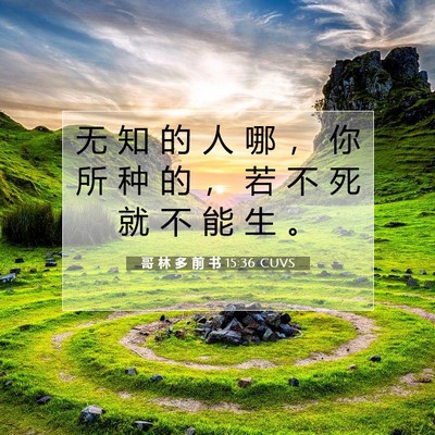 Picture 07 - 哥 林 多 前 书 15:36 CUVS - 无 知 的 人 哪 ， 你 所 种 的 ， 若 - Bible Verse Picture