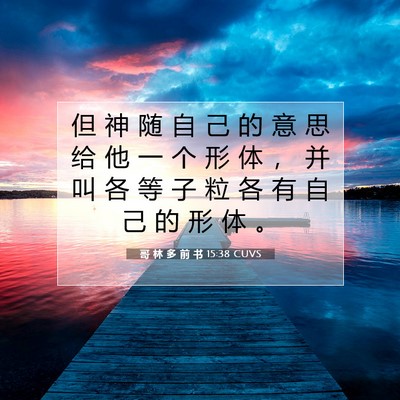 Picture 07 - 哥 林 多 前 书 15:38 CUVS - 但 神 随 自 己 的 意 思 给 他 一 个 - Bible Verse Picture