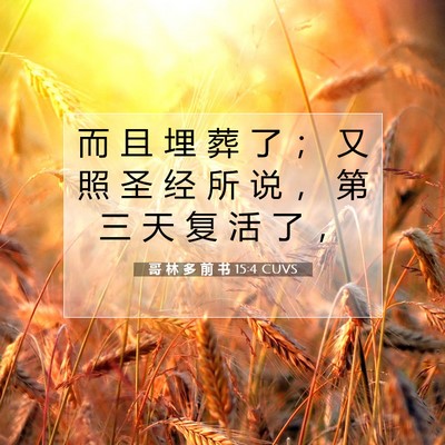 Picture 07 - 哥 林 多 前 书 15:4 CUVS - 而 且 埋 葬 了 ； 又 照 圣 经 所 说 - Bible Verse Picture