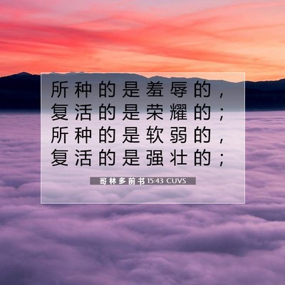 Picture 07 - 哥 林 多 前 书 15:43 CUVS - 所 种 的 是 羞 辱 的 ， 复 活 的 是 - Bible Verse Picture