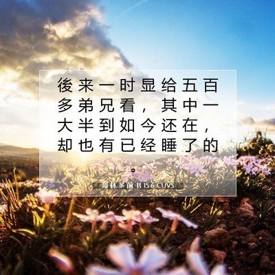 Picture 07 - 哥 林 多 前 书 15:6 CUVS - 後 来 一 时 显 给 五 百 多 弟 兄 看 - Bible Verse Picture