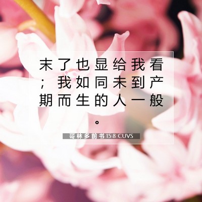Picture 07 - 哥 林 多 前 书 15:8 CUVS - 末 了 也 显 给 我 看 ； 我 如 同 未 - Bible Verse Picture
