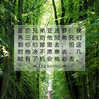 Picture 07 - 哥 林 多 前 书 16:12 CUVS - 至 於 兄 弟 亚 波 罗 ， 我 再 三 的 - Bible Verse Picture