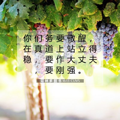 Picture 07 - 哥 林 多 前 书 16:13 CUVS - 你 们 务 要 儆 醒 ， 在 真 道 上 站 - Bible Verse Picture