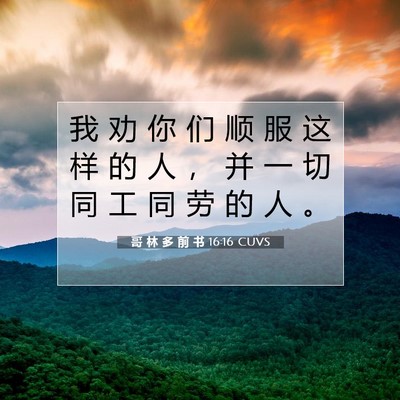 Picture 07 - 哥 林 多 前 书 16:16 CUVS - 我 劝 你 们 顺 服 这 样 的 人 ， 并 - Bible Verse Picture