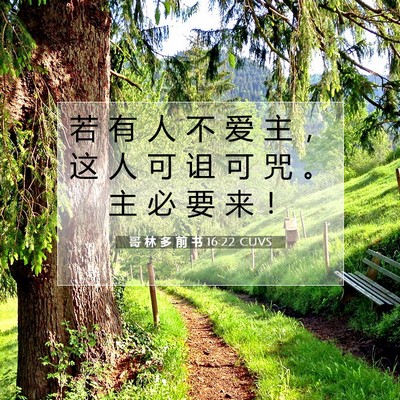 Picture 07 - 哥 林 多 前 书 16:22 CUVS - 若 有 人 不 爱 主 ， 这 人 可 诅 可 - Bible Verse Picture