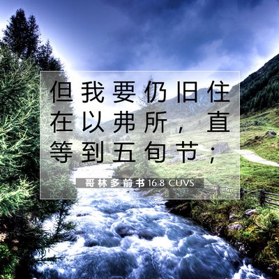 Picture 07 - 哥 林 多 前 书 16:8 CUVS - 但 我 要 仍 旧 住 在 以 弗 所 ， 直 - Bible Verse Picture