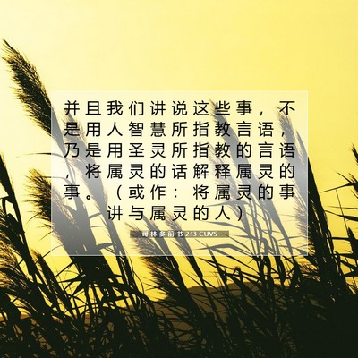 Picture 07 - 哥 林 多 前 书 2:13 CUVS - 并 且 我 们 讲 说 这 些 事 ， 不 是 - Bible Verse Picture