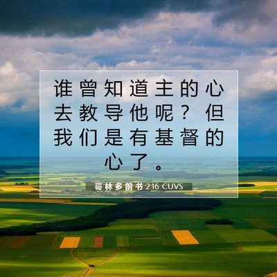 Picture 07 - 哥 林 多 前 书 2:16 CUVS - 谁 曾 知 道 主 的 心 去 教 导 他 呢 - Bible Verse Picture
