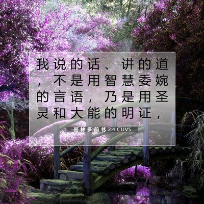 Picture 07 - 哥 林 多 前 书 2:4 CUVS - 我 说 的 话 、 讲 的 道 ， 不 是 用 - Bible Verse Picture
