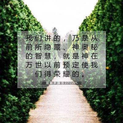 Picture 07 - 哥 林 多 前 书 2:7 CUVS - 我 们 讲 的 ， 乃 是 从 前 所 隐 藏 - Bible Verse Picture