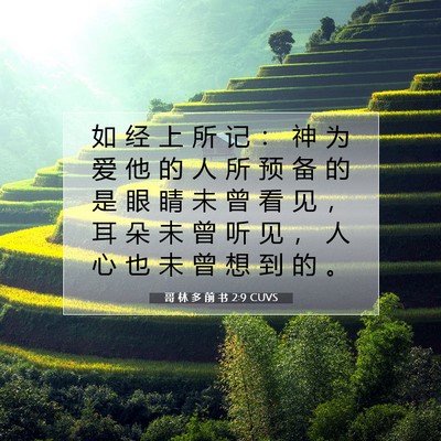 Picture 07 - 哥 林 多 前 书 2:9 CUVS - 如 经 上 所 记 ： 神 为 爱 他 的 人 - Bible Verse Picture