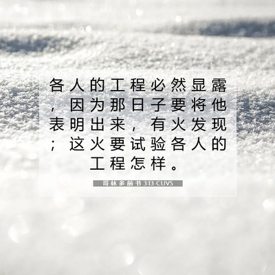 Picture 07 - 哥 林 多 前 书 3:13 CUVS - 各 人 的 工 程 必 然 显 露 ， 因 为 - Bible Verse Picture